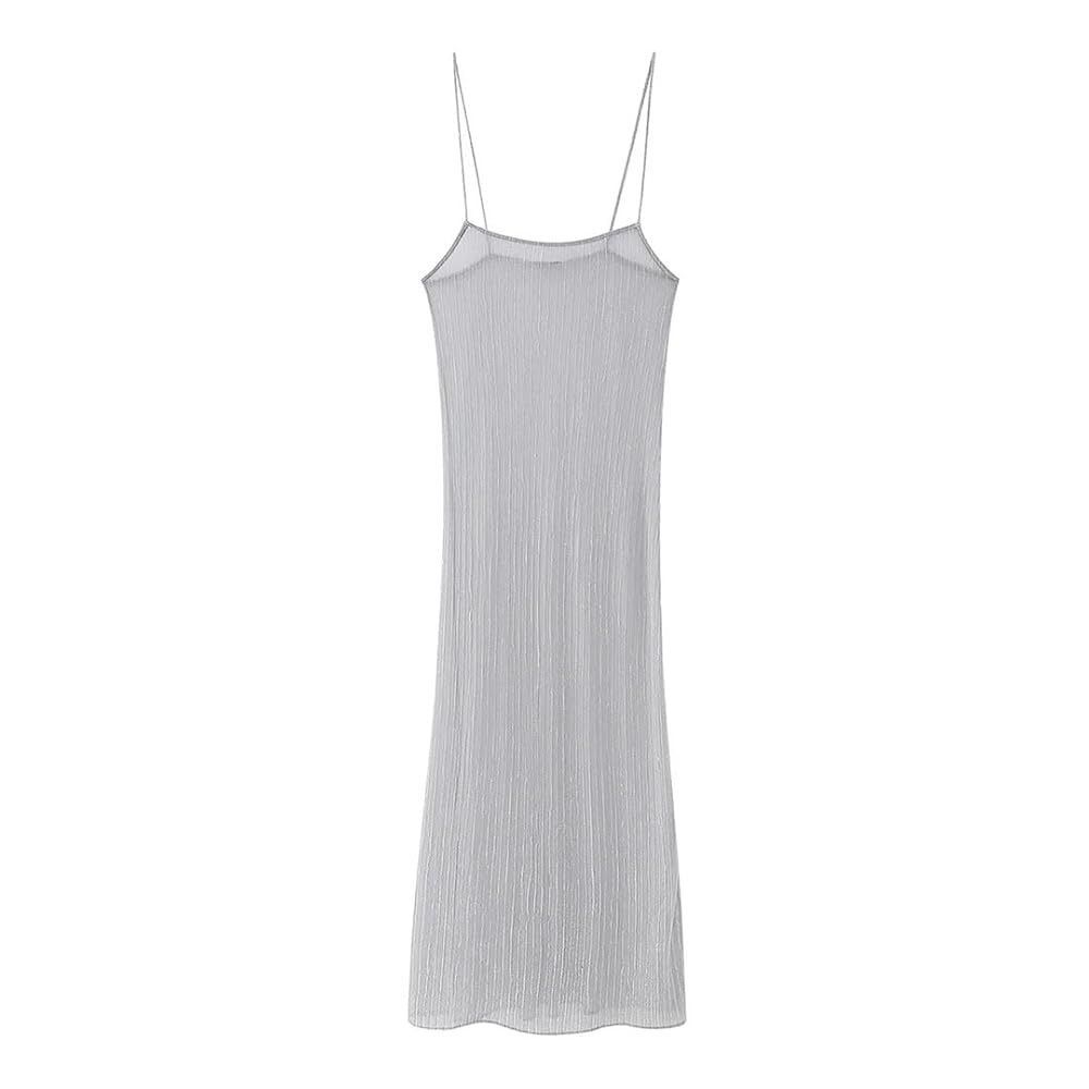 Zara Shimmering Silver Metallic Sheer Jacquard Maxi Dress M EUC